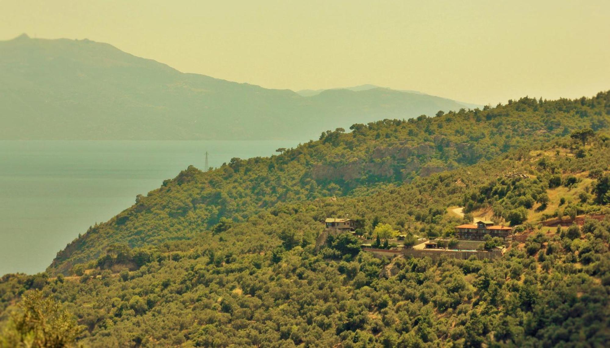 Assos Kartal Yuvasi Hotel Sazlı 外观 照片